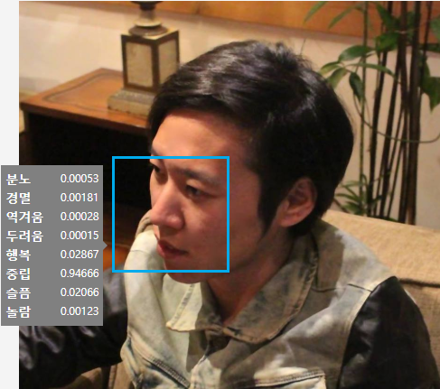 카카오는 이미 당신의 얼굴을 알고 있다? – 카카오 비전 AI
