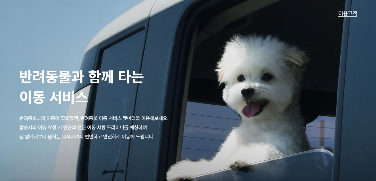 [감동수기] 야간 택시 대란, ‘펫택시’ 꼼수는 통할까?