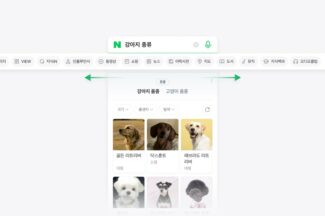 네이버, 검색 경험 바꾼다…탭 디자인 테스트