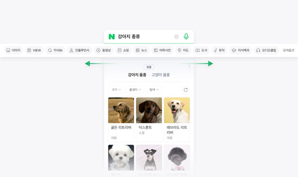 네이버, 검색 경험 바꾼다…탭 디자인 테스트