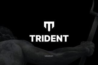 카카오브레인, AI 개발 효율 높이는 ‘트라이던트’ 라이브러리 공개