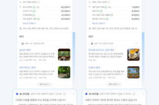 네이버 “플레이스 AI 브리핑 적용 후 체류 시간·클릭률 두 자릿수 증가”