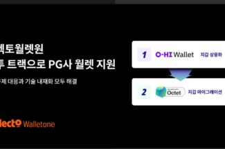 헥토월렛원, 투 트랙으로 PG사 월렛 지원