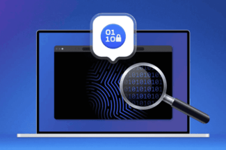 노드VPN “한국인 84%, 데이터 유출 알림 원하지만 통제감은 52%에 그쳐”