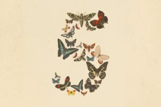 美 정부, 앤트로픽 ‘페이블5·미토스5’ 외국인 접속 차단