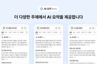 업스테이지 품 안긴 ‘다음’, 검색 결과 ‘AI 요약’ 베타 서비스 출시