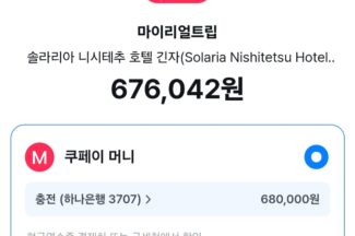 쿠팡 로켓페이, 마이리얼트립 시작으로 외부 확장 시동